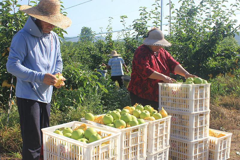 ��ó������Ѕ^(q��)ǰ�����@��(g��)���@���������ˣ�